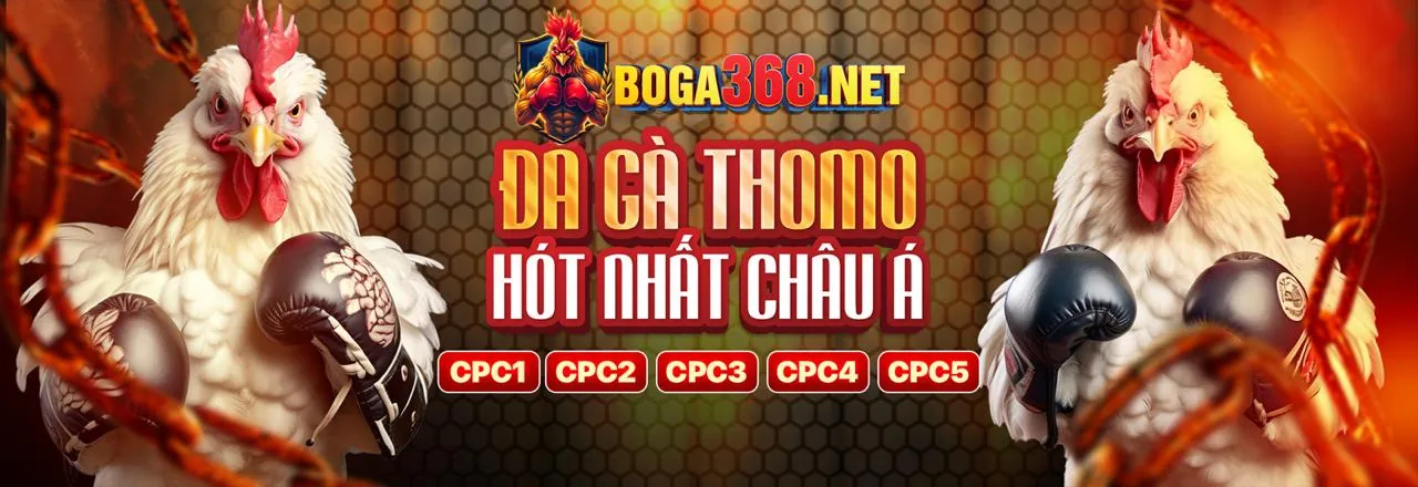 Đá Gà Trực Tuyến Hấp Dẫn tại Rikbet
