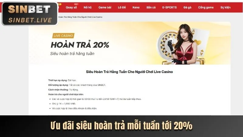 Hình ảnh minh họa các ưu đãi và dịch vụ hỗ trợ khách hàng của rikbet